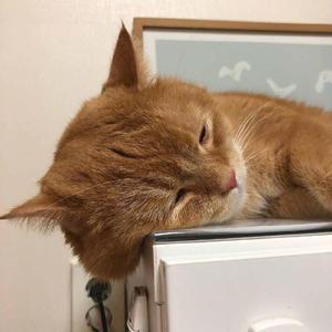 把老太婆日出水了
